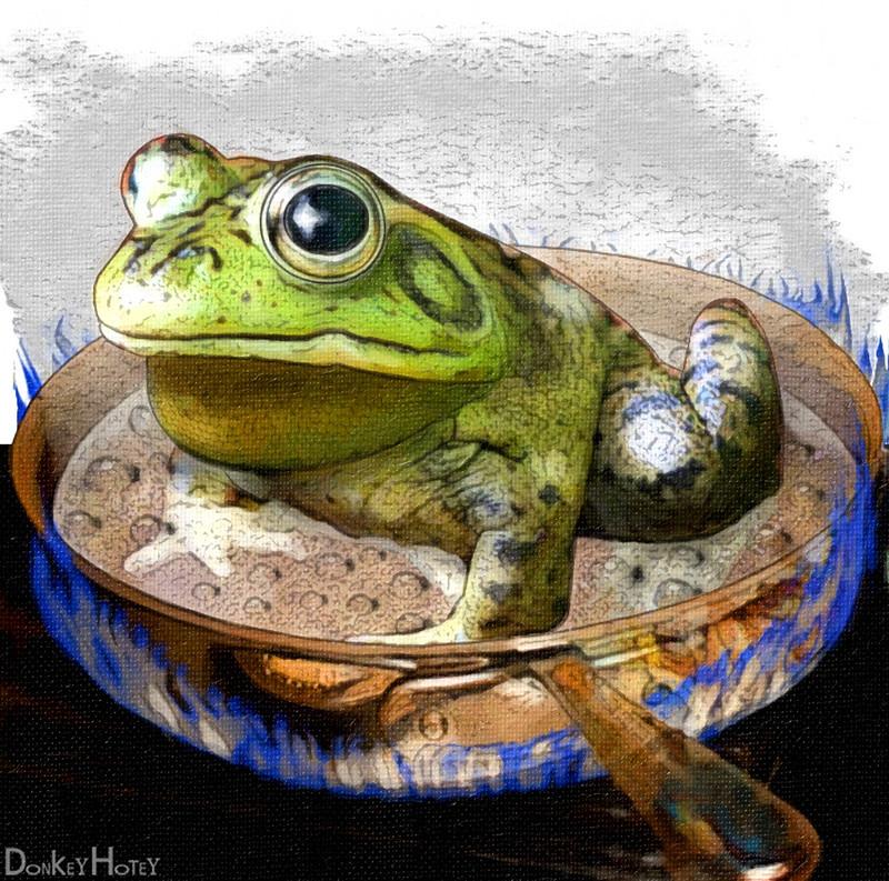 "Boiling Frog" by DonkeyHotey is licensed under CC BY-SA 2.0.